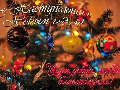 Поздравляем с Новым Годом и Рождеством Христовым!