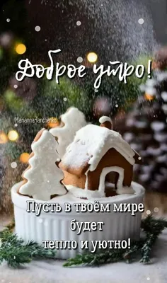 С Добрым Зимним Утром! | Александр Кузнецов | Дзен