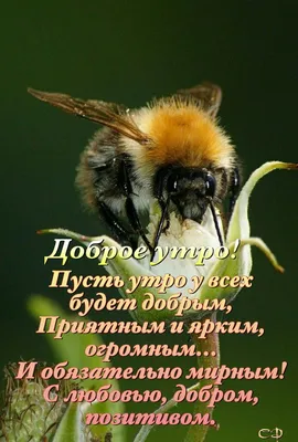 1 АВГУСТА - ДЕНЬ ПОДРУГИ !!! Ты есть у меня! Это просто прекрасно! Всегда  Mы друг друга поддержим,.. | ВКонтакте