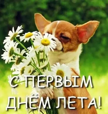 liubovdobrokhvalova - Поздравляю всех с первым Днём лета и ДНЁМ ЗАЩИТЫ  ДЕТЕЙ!!! Желаю всем здоровья, счастья, больше солнечных дней, безоблачного,  чистого, мирного неба. Любите друг друга и берегите свои семьи. Здоровая  семья,