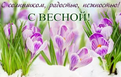 1 марта С ПЕРВЫМ ДНЁМ ВЕСНЫ!