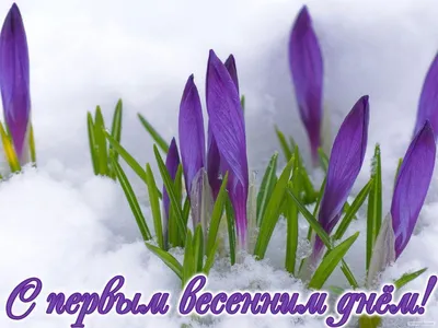С первым днем весны: поздравления с весной, картинки и открытки | OBOZ.UA