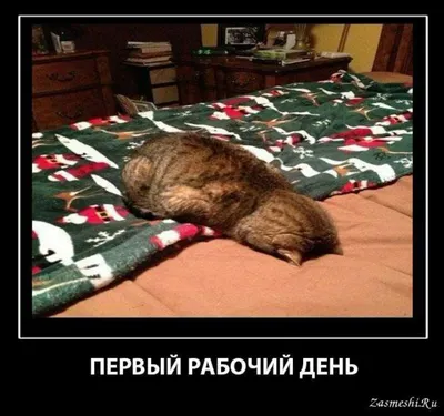 Россиянам рассказали, как выспаться перед первым рабочим днём после  праздников — Секрет фирмы