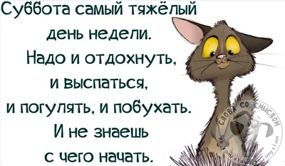 Поздравление с первым рабочим днем после отпуска: \"С бодростью возвращение  к делам!\"