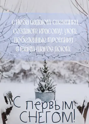 Киев засыпало снегом 22 ноября | РБК Украина