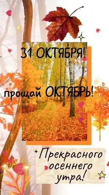 С последним днём уходящего октября! #уходитоктябрь #пожеланиядрузьям ... |  TikTok