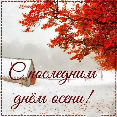 Поздравляем с последним днем осени 2023 — как провести 30 ноября 2023 —  красивые пожелания и цветные картинки — на украинском
