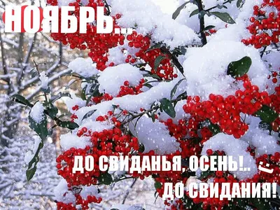 🍂❄️🍁🏠🍁❄️🍂 С последним днем Осени! | Сказки, Открытки, Осень