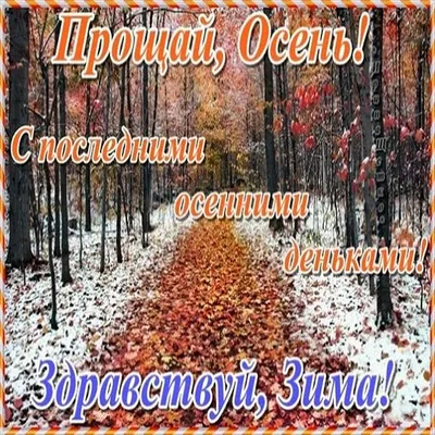 30ноября С Последним днем осени🍁❄️#доброеутро#сдобрымутром#последнийденьосени#последнийденьноября#простоуходитосень  | Instagram