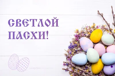 Поздравляем вас со светлым праздником Пасхи! | новости VGL патруль