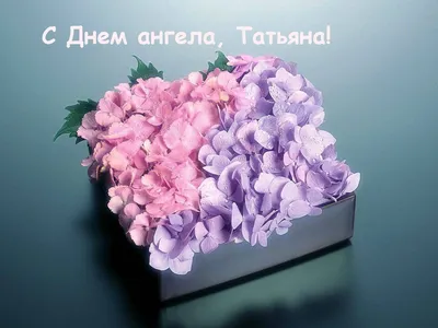 С Днем Татьяны - поздравления с днем ангела, картинки и открытки | OBOZ.UA