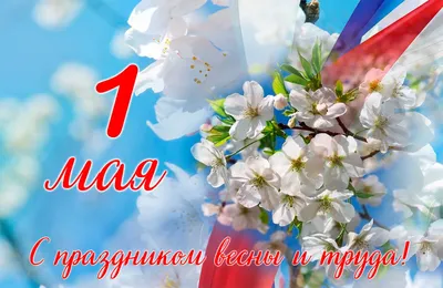 Поздравляем вас с праздником 8 Марта! - Школа 3 г.Нарьян-Мар