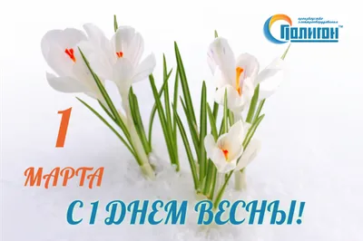 Поздравляем с праздником весны – 8 Марта! | ООО СевЗапКанат