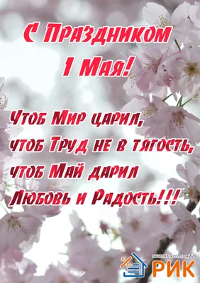 МИЛЫЕ ЖЕНЩИНЫ, ПОЗДРАВЛЯЕМ ВАС С ПРАЗДНИКОМ 8 МАРТА !!!! - Могилевская  областная организация Белорусского профессионального союза работников  транспорта и коммуникаций