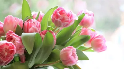Замечательные стихи о весне. С первым днем весны вас! | Читающая | Дзен