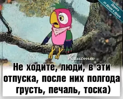 Поздравления с выходом на работу - после отпуска и на новую работу — УНИАН