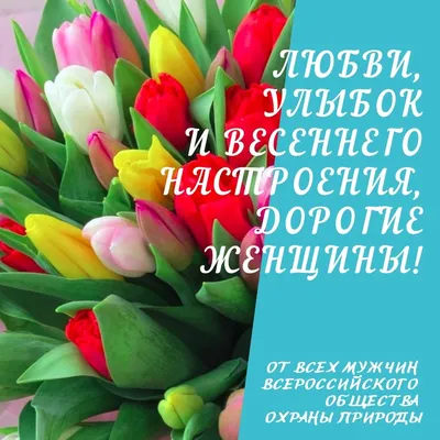 Николай Пестов и Дмитрий Машков поздравляют с Международным женским днем  жительниц Большого Подольска | Администрация Городского округа Подольск