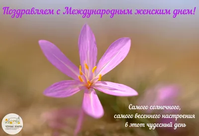 Поздравление с Международным женским днем — Управление ветеринарии  Ростовской области