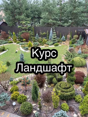 Книга Красичкова. Дизайн Сада Своими Рукам и - купить дома и досуга в  интернет-магазинах, цены на Мегамаркет |