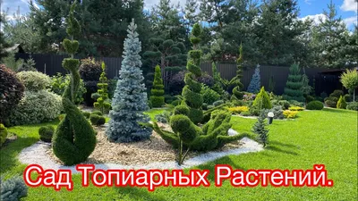 Как создать красивый сад своими руками