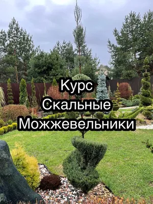 Какие цветы нужно посеять уже... - САД ОГОРОД СВОИМИ РУКАМИ� | Facebook