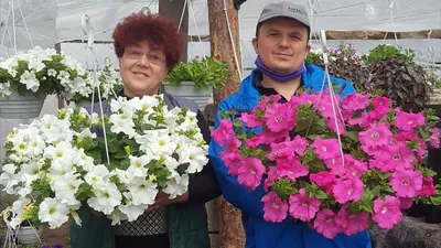 Оформление уличной площадки в детском саду своими руками. Участок для  группы раннего возраста (9 фото). Воспитателям детских садов, школьным  учителям и педагогам - Маам.ру
