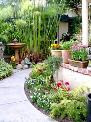 Сад топиарных Растений. Eva Topiary garden. Мой сад, давно вам не  показывала как он подрос. - YouTube
