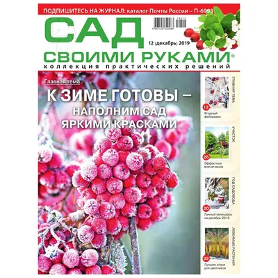 Каменистый сад своими руками : Афиша : ПКПБ им. А. М. Горького : pgpb.ru