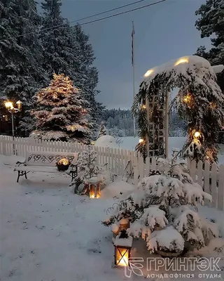 Сад зимой картинки