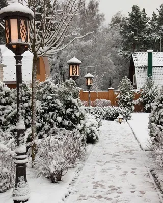 7,065 отметок «Нравится», 29 комментариев — [297К] ЛАНДШАФТНЫЙ ДИЗАЙН 🌳  (@landshaft.design) в Instagram: «Сады зимой по… | Дизайн озеленение,  Ландшафт, Дизайн сада
