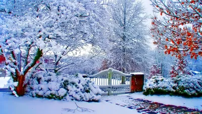 Семь отличных способов украсить сад зимой