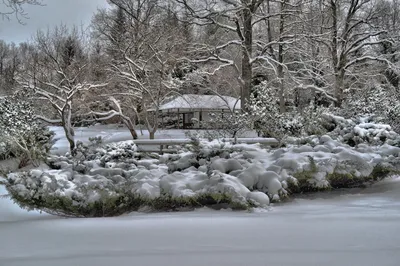 File:Яблоневый сад зимой - panoramio.jpg - Wikimedia Commons