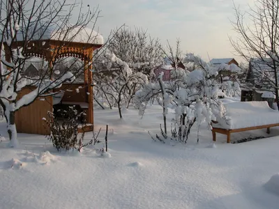 Яблочный сад,зимой» — создано в Шедевруме