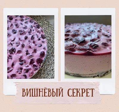 Муссовый торт в скорлупе из шоколада | Воронежская обл.