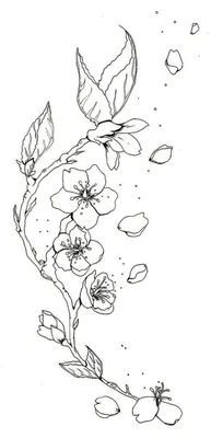 Вишневая вишня Ветвь Сакура с цветочными будками Черно-белый рисунок  цветущего дерева весной Логотип с Иллюстрация вектора - иллюстрации  насчитывающей цветок, конспектов: 158250469