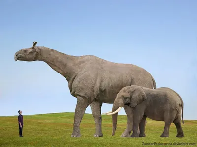 Самое большое животное на суше, после динозавров