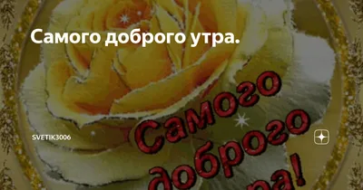 Всем самого доброго утра! В жизни будет пусть удача И искрится звонкий  смех! А еще пускай, в придачу, Счастье будет и успех! | Смех, Фотографии,  Доброе утро