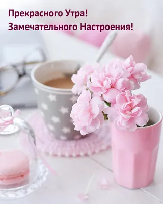 Самого доброго и прекрасного утра! - Лента новостей ДНР