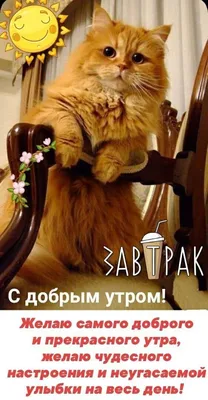 Хочу Всё Знать - С добрым утром, друзья! Прекрасного дня! | Facebook