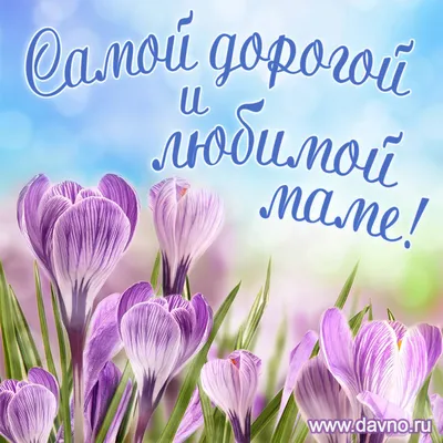 Самой дорогой и любимой маме на свете - весенние цветы - Скачайте на  Davno.ru