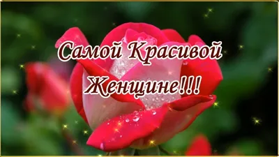 Самой Красивой Женщине эти цветы! 💌🌹🌹🌹. - YouTube