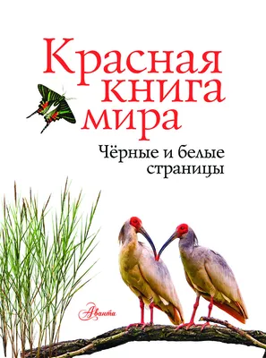 у всех грустные ебальники / смешные картинки и другие приколы: комиксы, гиф  анимация, видео, лучший интеллектуальный юмор.