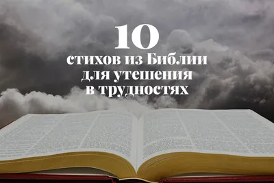 Главные мемы-2021: грустные коты, Суэцкая пробка и жизнь на Марсе —  31.12.2021 — Lifestyle на РЕН ТВ