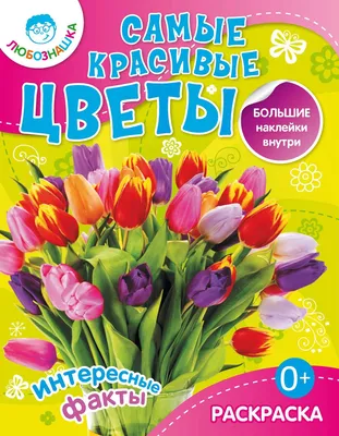 Красивые текстуры природы Коллаж, самые интересные воды Стоковое  Изображение - изображение насчитывающей зеленый, жидкость: 142878975