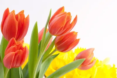 Привезли для вас самые яркие, самые сочные, самые красивые цветы 🤩  Собираем для вас букеты каждый день! Цилиндр с цветами «Цветочное… |  Instagram