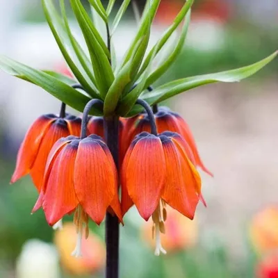 Самые красивые и яркие цветы, чтобы ваш день стал ярче💐 Принимаем заказы  онлайн на нашем сайте LoveFlowers.ru 🌸( ссылка в шапке профиля) и… |  Instagram