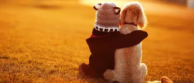 Самые красивые цитаты про дружбу со смыслом | Joy-Pup - всё самое  интересное! | Дзен