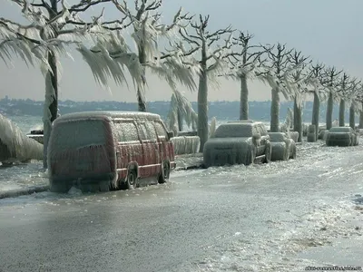 Самые красивые фотографии морозной зимы » BigPicture.ru