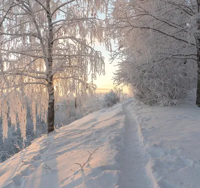 Зима хоть морозная, но очень красивая. Самые красивые фотографии этой зимы  | Люблю жизнь и фотографирую | Дзен