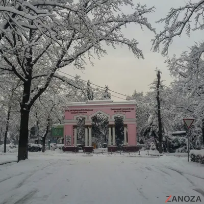 Воркута, вчера. Одна из самых старых и красивых улиц города | Пикабу